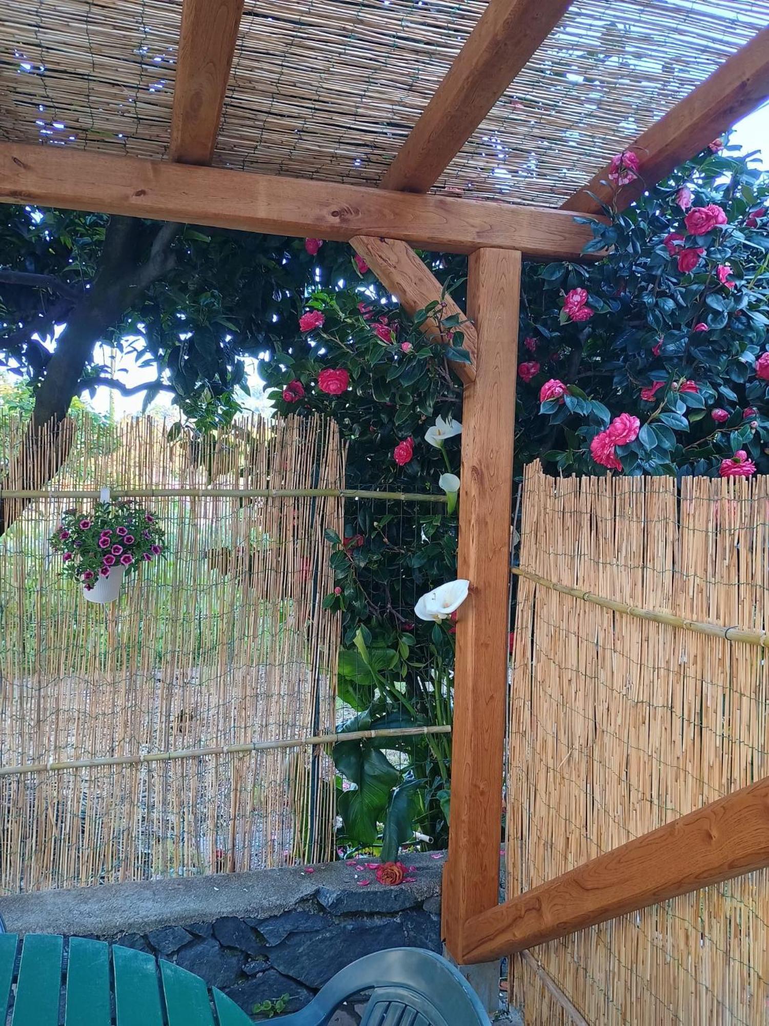 La Casa Dei Due Aranci Villa Albisola Superiore Exterior foto